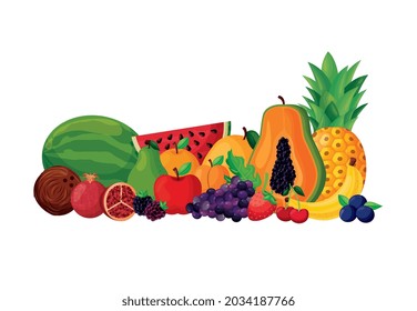 frutas aisladas sobre fondo blanco. ilustración vectorial