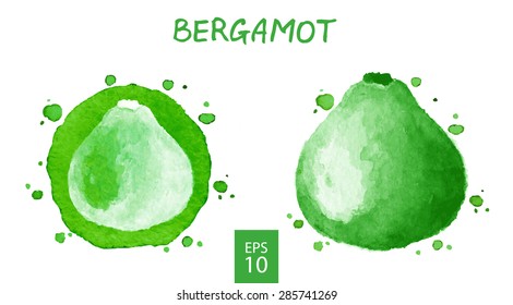 Fruits set - leech lime (Kaffir lime, Bergamot). Watercolor drawing. Vector