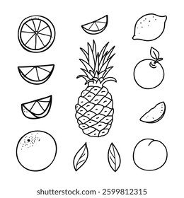Fruits Set. Lemon, Orange, Pineapple, Apple and Peach. Hand drawn Vector doodle elements of whole Fruits and Cut Slices. Black and White line art isolated on a white background. For product packaging