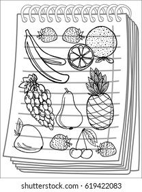 Fruits set on notebook background. Free hand drawn. Vector illustration.