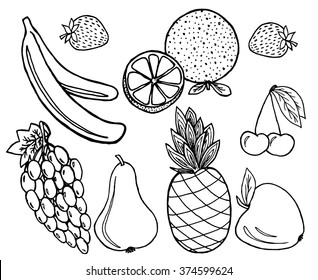 Fruits set on white background. Free hand drawn. Vector illustration.