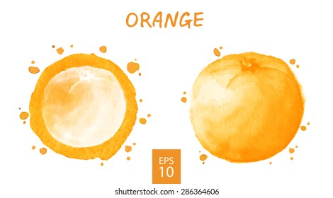 Fruits set - orange. Watercolor drawing. Vector