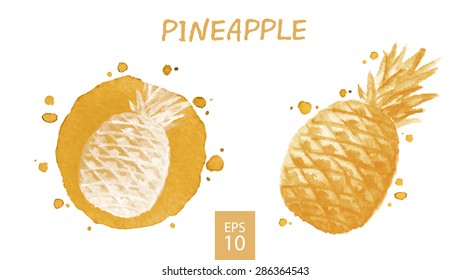 Fruits set - pineapple. Watercolor drawing. Vector