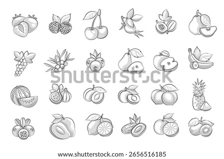 Fruits Set. Rustic Vintage Line Art Illustrations, farming, engraved sketch style. The elements, and icons are clean but textured