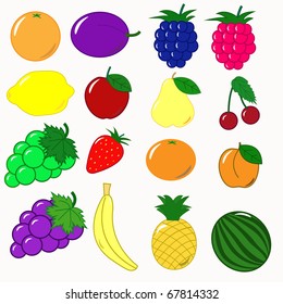 fruits set vector