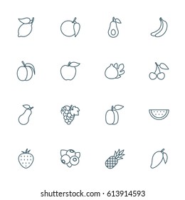 Fruits set of vector icons