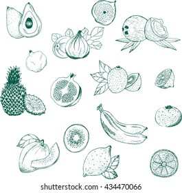 fruits, set of vector illustrations