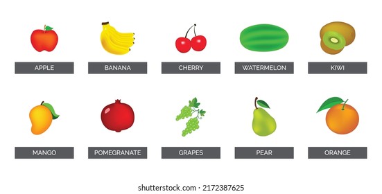 Frutos, conjunto de ilustraciones vectoriales, Ilustración vectorial, Diseño gráfico. Para Web, Sitios Web, Impresión, Plantillas De Presentación, Aplicaciones Móviles Y Materiales Promocionales