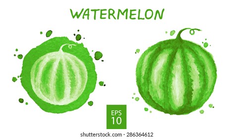 Fruits set - watermelon. Watercolor drawing. Vector