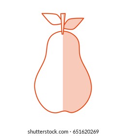 fruits shadow illustration