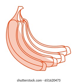 fruits shadow illustration
