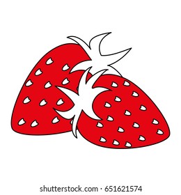 fruits shadow illustration
