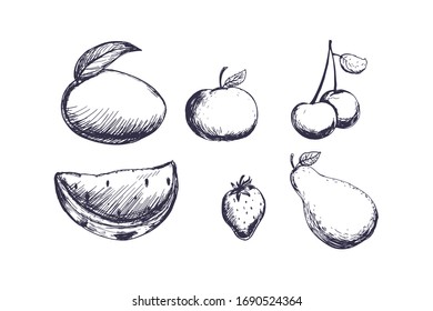 Fruits sketch set, including  mango,  apple, cherries, watermelon slice and pear. Vector illustration for your design.