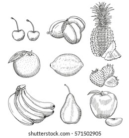 Fruits sketch. Vector isolated icons of cherry, plum, pineapple, orange, lemon, strawberry, banana, pear, apple. Hand drawn illustration.