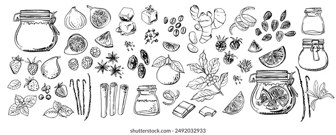 Fruits and spices, berries. Ink sketch of food. Cinnamon, coffee, jam	