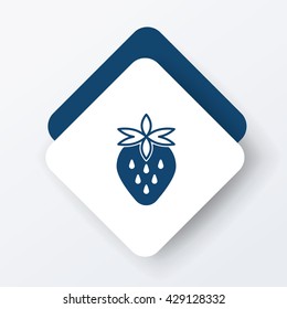 fruits strawberry icon