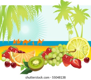 Fruits and summer. All elements and textures are individual objects. Vector illustration scale to any size.
