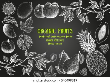 Fruits top view frame. Farmers market menu design. Healthy food poster. Vintage hand drawn sketch, vector illustration. Linear graphic.