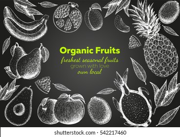 Fruits top view frame. Farmers market menu design. Healthy food poster. Vintage hand drawn sketch, vector illustration. Linear graphic.