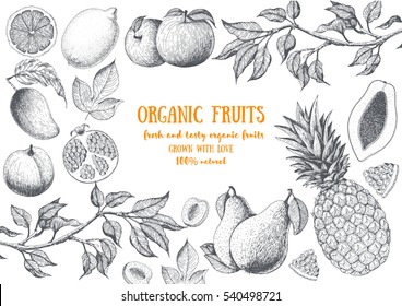 Fruits top view frame with papaya, pear, mango, pomegranate, lemon, peach, pineapple. Farmers market menu design. Healthy food poster. Vintage hand drawn sketch, vector illustration. Linear graphic.