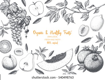 Fruits top view frame with papaya, pear, pomegranate, kiwi, peach, apple, grapes. Farmers market menu design. Healthy food poster. Vintage hand drawn sketch, vector illustration. Linear graphic.