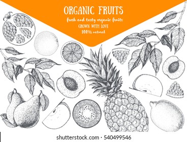 Fruits top view frame with pear, pineapple, kiwi, pomegranate, apple, peach. Farmers market menu design. Healthy food poster. Vintage hand drawn sketch, vector illustration. Linear graphic.