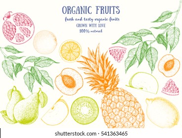 Fruits top view frame with pear, pineapple, kiwi, pomegranate, apple, peach. Farmers market menu design. Healthy food poster. Vintage hand drawn sketch, vector illustration. Linear graphic.