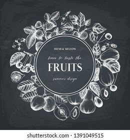 Fruits and trees branches wreath. Cherry, plum, peach, apple, peach, apricot, fig, quince, pear sketches. On chalkboard. Vector food design template. Hand drawn fruits and flowers illustration.