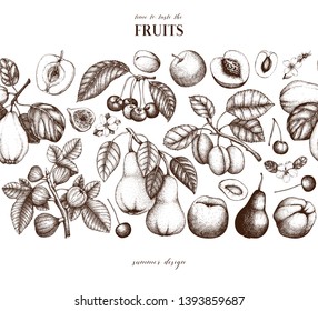 Fruits trees design. Cherry, plum, apple, peach, apricot, fig, quince, pear sketches. Vector fruits, flowers, branches outlines. Hand drawn botanical illustration. Seamless harvest  ribbon.