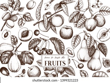 Fruits trees design. Cherry, plum,  apple, peach, apricot, fig, quince, pear sketches. With flowers, fruits, branches. Vintage food design template. Hand drawn botanical illustration. Vector outlines.