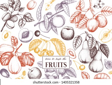 Fruits trees design. Cherry, plum,  apple, peach, apricot, fig, quince, pear sketches. With flowers, fruits, branches. Vintage food design template. Hand drawn botanical illustration. Vector outlines.