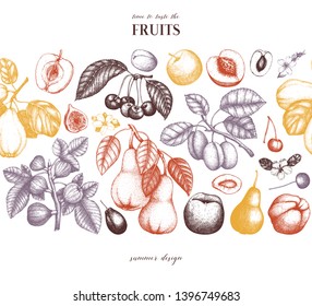 Fruits trees design template. Cherry, plum, apple, peach, apricot, fig, quince, pear sketches. Vector fruits, flowers, branches outlines. Hand drawn botanical illustration. Seamless harvest  ribbon.