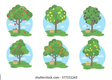 Fruits trees set on white background. Apples, plums, pears and more.