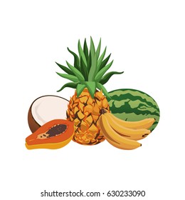 fruits tropical food harvest delicious set