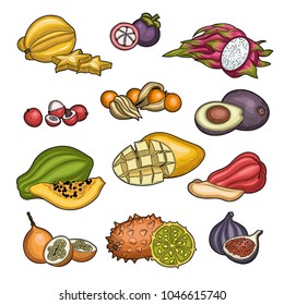 Fruits. Tropical fruit. Carambola, litchi, granadilla, winter cherry, figs, java apple, mangosteen, dragon fruit, avocado, papaya, mango, kiwano fruits. Illustration. Isolated on white background.