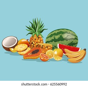 fruits variety fresh harvest