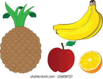 Fruits vector