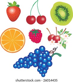fruits vector