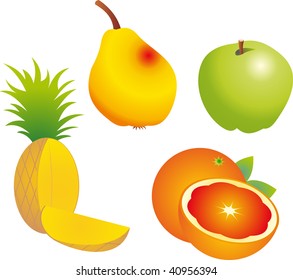 Fruits vector