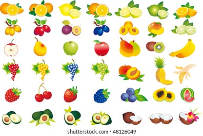 Fruits vector