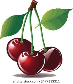 Fruits Vector cherry vector food