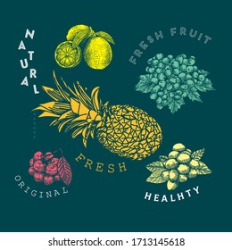 Konzept der Vektorillustration von Obst im Dodle-Stil