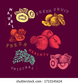 Fruits vector concept in doodle illustration style, Farmers market menu design. Healthy food poster. Vintage hand drawn sketch, vector illustration. Linear graphic