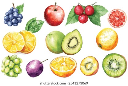 Elementos vetoriais de frutas, ilustração aquarela de frutas isolada sobre fundo branco