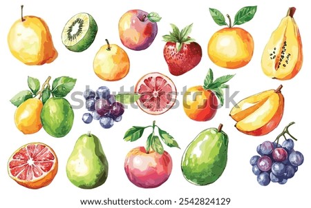 Fruits Vector Elements, Fruits Watercolor Illustration isolated on white background