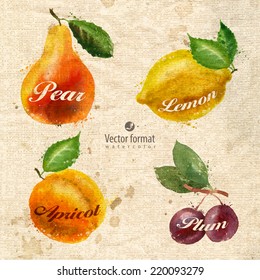 Fruits. Vector format