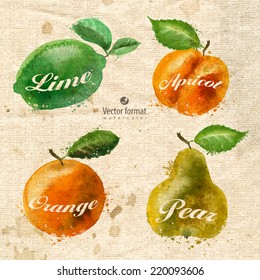 Fruits. Vector format