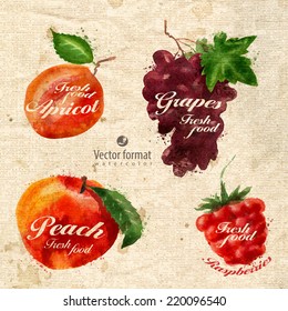 Fruits. Vector format