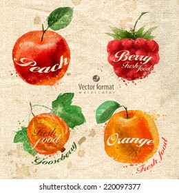 Fruits. Vector format