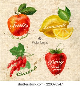 Fruits. Vector format